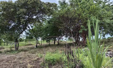 TERRENO / SAN CARLOS / RIO MAR / 1400M / CERCA PLAYA / PLANO JC