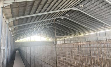 WAREHOUSE FOR SALE IN KENDALREJO, TALUN, BLITAR – NEGOTIATE UNTIL DEAL!