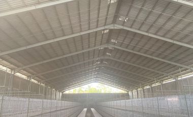 WAREHOUSE FOR SALE IN KENDALREJO, TALUN, BLITAR – NEGOTIATE UNTIL DEAL!