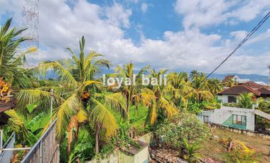 Hotel, Akomodasi Tepi Pantai untuk Disewakan di Lovina, Singaraja, Bal