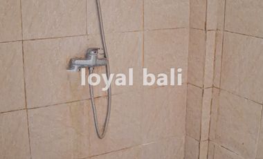 Hotel, Akomodasi Tepi Pantai untuk Disewakan di Lovina, Singaraja, Bal