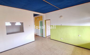 Hotel, Akomodasi Tepi Pantai untuk Disewakan di Lovina, Singaraja, Bal