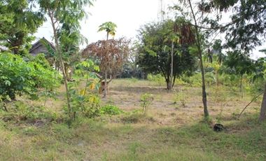 COMMERCIAL LAND FOR SALE IN BLITAR - STRATEGIC LOCATION SANAN WETAN
