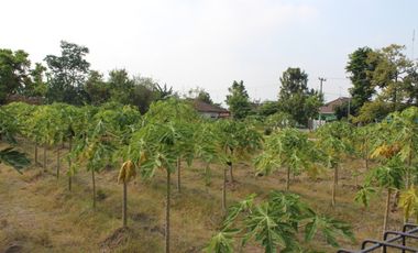 COMMERCIAL LAND FOR SALE IN BLITAR - STRATEGIC LOCATION SANAN WETAN