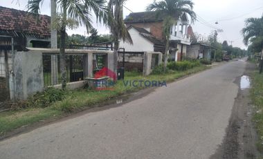 Dijual Tanah Kebun Alpukat dan Jeruk di Ngronggot Kab Nganjuk