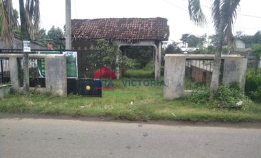 Dijual Tanah Kebun Alpukat dan Jeruk di Ngronggot Kab Nganjuk