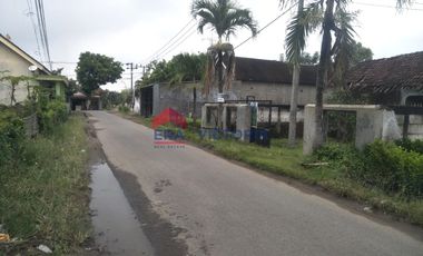 Dijual Tanah Kebun Alpukat dan Jeruk di Ngronggot Kab Nganjuk