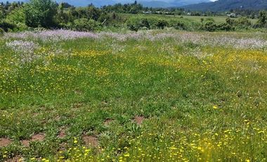 Casa en Arriendo en PC 319, PTE LOTE 14