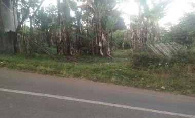 Dijual tanah murah + rumah Luas tanah 739 M2 di Cimanggung Sumedang