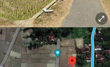 Dijual tanah SHM pekarangan di Sentolo cocok untuk pabrik perumahan