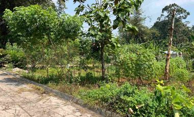 DIJUAL MURAH TANAH SHM PATEMON – GUNUNGPATI, SEMARANG LUAS 242 m2 SHM