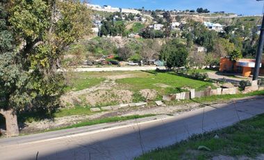 Terreno en Venta Blvd Cuauhtemoc 4698 m2