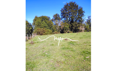 PARCELA DE 2,4 HECTÁREAS SECTOR EL PEÑOL, LOS LAGOS