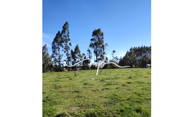 PARCELA DE 2,4 HECTÁREAS SECTOR EL PEÑOL, LOS LAGOS