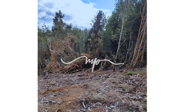 PARCELA DE 2,4 HECTÁREAS SECTOR EL PEÑOL, LOS LAGOS