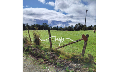 PARCELA DE 2,4 HECTÁREAS SECTOR EL PEÑOL, LOS LAGOS