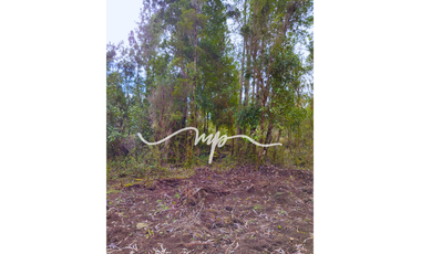 PARCELA DE 2,4 HECTÁREAS SECTOR EL PEÑOL, LOS LAGOS