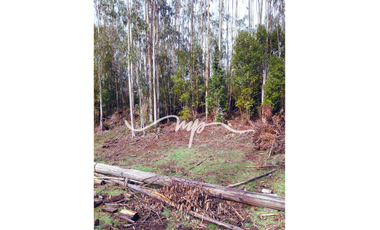 PARCELA DE 2,4 HECTÁREAS SECTOR EL PEÑOL, LOS LAGOS