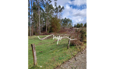 PARCELA DE 2,4 HECTÁREAS SECTOR EL PEÑOL, LOS LAGOS