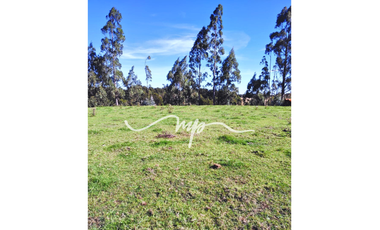 PARCELA DE 2,4 HECTÁREAS SECTOR EL PEÑOL, LOS LAGOS