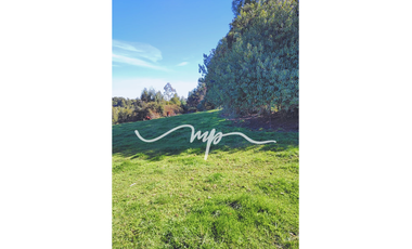 PARCELA DE 2,4 HECTÁREAS SECTOR EL PEÑOL, LOS LAGOS