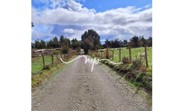 PARCELA DE 2,4 HECTÁREAS SECTOR EL PEÑOL, LOS LAGOS
