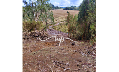 PARCELA DE 2,4 HECTÁREAS SECTOR EL PEÑOL, LOS LAGOS