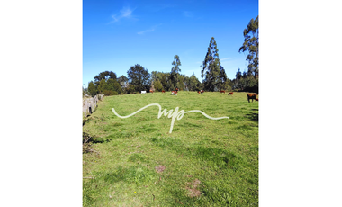 PARCELA DE 2,4 HECTÁREAS SECTOR EL PEÑOL, LOS LAGOS