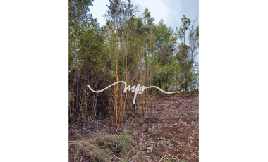 PARCELA DE 2,4 HECTÁREAS SECTOR EL PEÑOL, LOS LAGOS