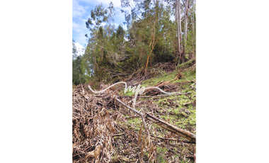 PARCELA DE 2,4 HECTÁREAS SECTOR EL PEÑOL, LOS LAGOS