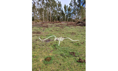 PARCELA DE 2,4 HECTÁREAS SECTOR EL PEÑOL, LOS LAGOS