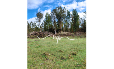 PARCELA DE 2,4 HECTÁREAS SECTOR EL PEÑOL, LOS LAGOS