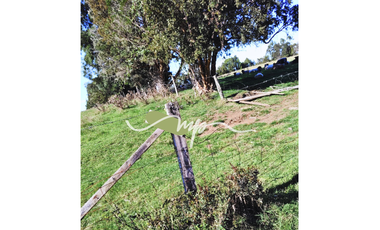 PARCELA DE 2,4 HECTÁREAS SECTOR EL PEÑOL, LOS LAGOS