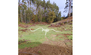 PARCELA DE 2,4 HECTÁREAS SECTOR EL PEÑOL, LOS LAGOS