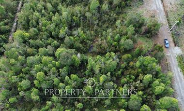 Parcela de 5.000 m2 con bosque nativo a 20 minutos del centro de Puerto Varas