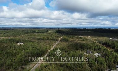 Parcela de 5.000 m2 con bosque nativo a 20 minutos del centro de Puerto Varas