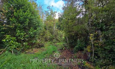 Parcela de 5.000 m2 con bosque nativo a 20 minutos del centro de Puerto Varas
