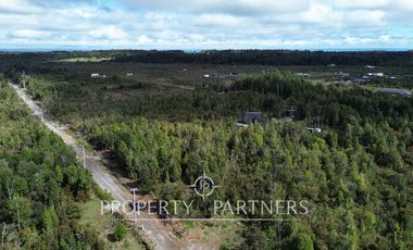 Parcela de 5.000 m2 con bosque nativo a 20 minutos del centro de Puerto Varas