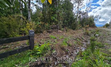 Parcela de 5.000 m2 con bosque nativo a 20 minutos del centro de Puerto Varas