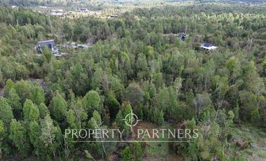 Parcela de 5.000 m2 con bosque nativo a 20 minutos del centro de Puerto Varas