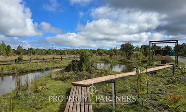 Parcela de 5.000 m2 con bosque nativo a 20 minutos del centro de Puerto Varas