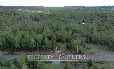 Parcela de 5.000 m2 con bosque nativo a 20 minutos del centro de Puerto Varas