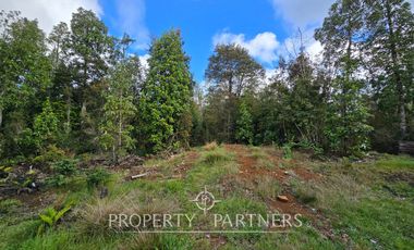 Parcela de 5.000 m2 con bosque nativo a 20 minutos del centro de Puerto Varas