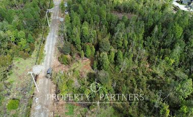 Parcela de 5.000 m2 con bosque nativo a 20 minutos del centro de Puerto Varas
