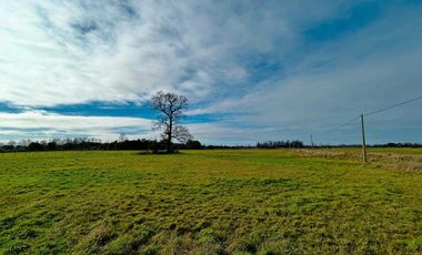 Parcela en venta en OSORNO