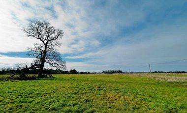 Parcela en venta en OSORNO
