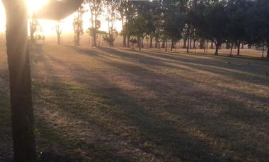 Terreno en venta - 841.63Mts2 - Mar del Plata