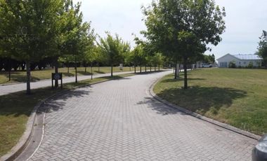 Terreno en venta - 841.63Mts2 - Mar del Plata