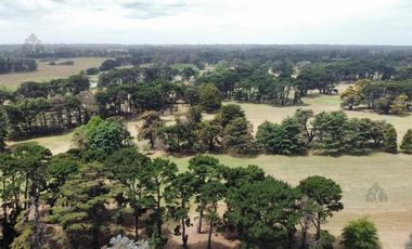 Terreno en venta - 841.63Mts2 - Mar del Plata