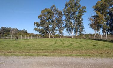 Terreno - Parque Sakura